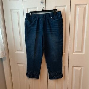 Alfred Dunner Scottsdale Women's Dazzling Hem Faux Fly Pant